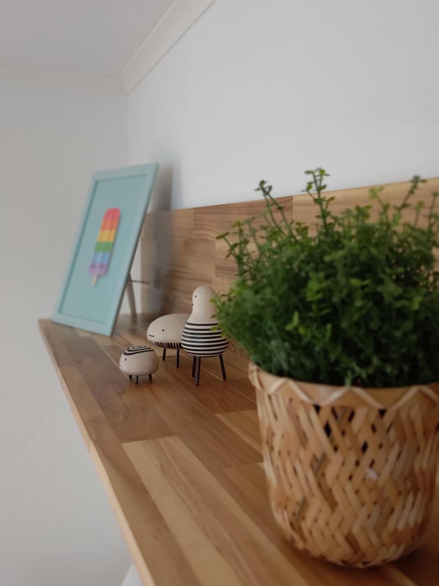 Appartementen Dorp & Duin Egmond aan Zee Eksteriør bilde
